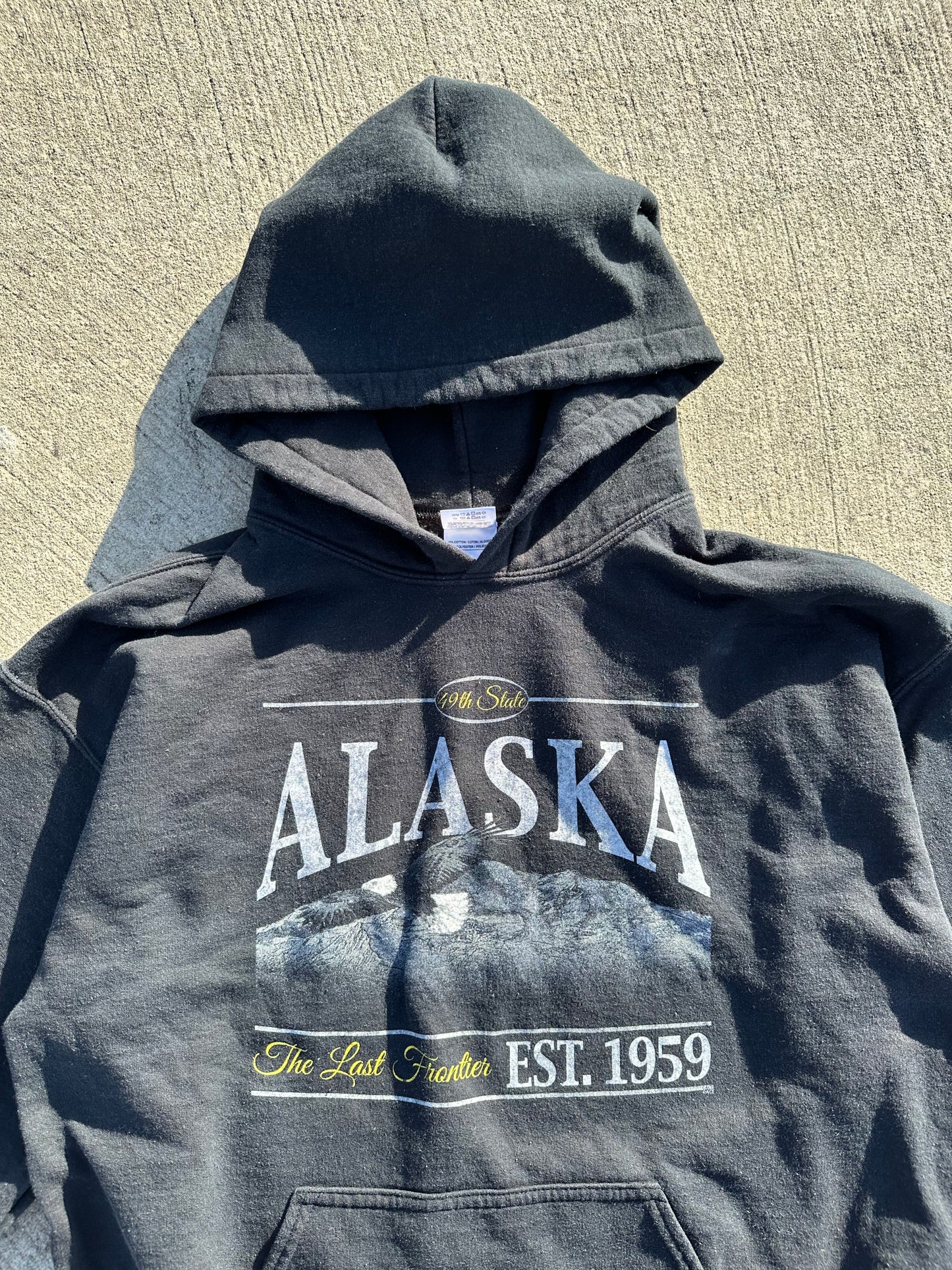 ALASKA LAST FRONTIER HOODIE — L